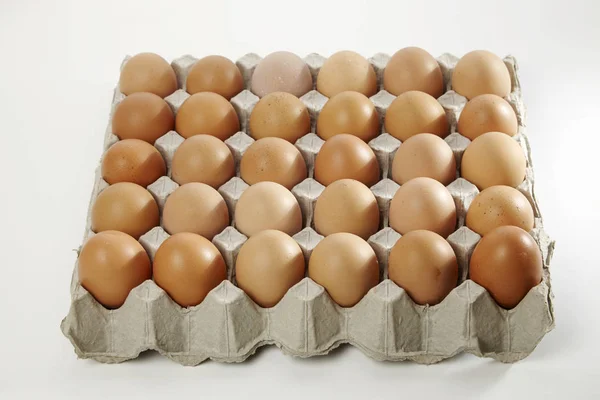 Курячі яйця лоток — стокове фото