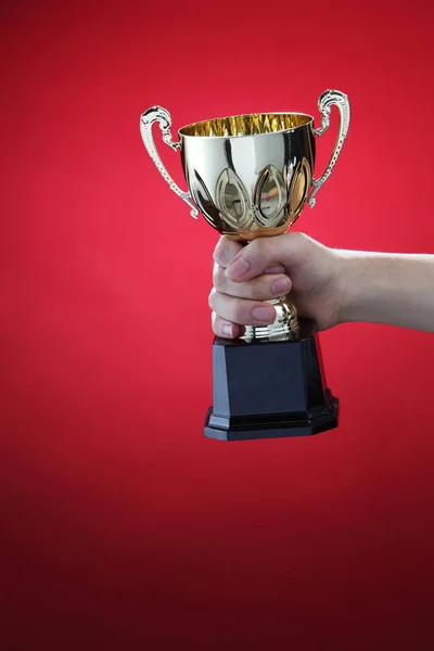 Sports trophy in hand — Stock Photo, Image