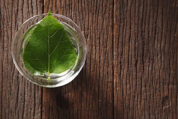 Mulberry leaf in cup — Stock Photo, Image