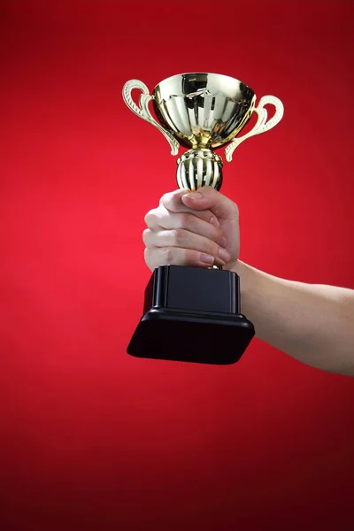 Sports trophy in hand — Stock Photo, Image