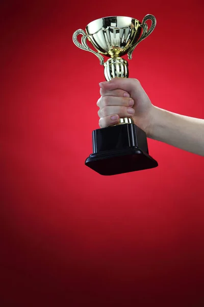 Sports trophy in hand — Stock Photo, Image