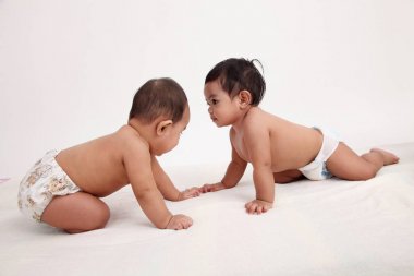 iki malay bebek studio poz birlikte 