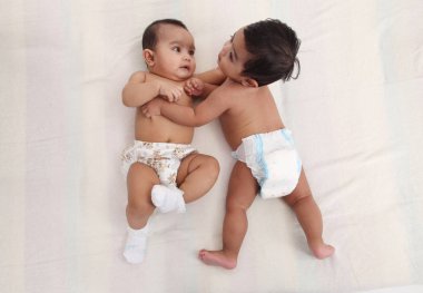 iki malay bebek studio poz birlikte 