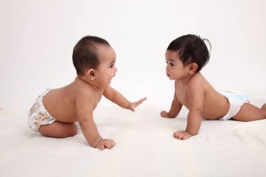 iki malay bebek studio poz birlikte 