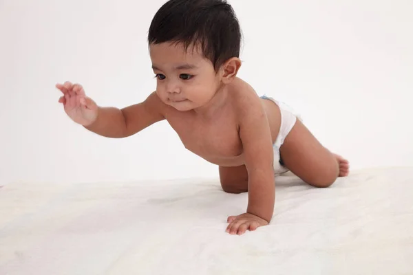Tarama Malay Bebek Çocuk Yakın Çekim — Stok fotoğraf