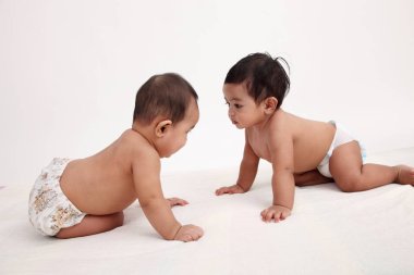 iki malay bebek studio poz birlikte 