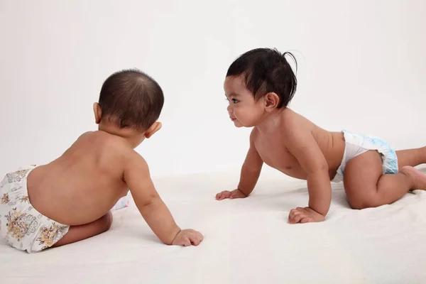 Twee Maleise Baby Samen Poseren Studio — Stockfoto