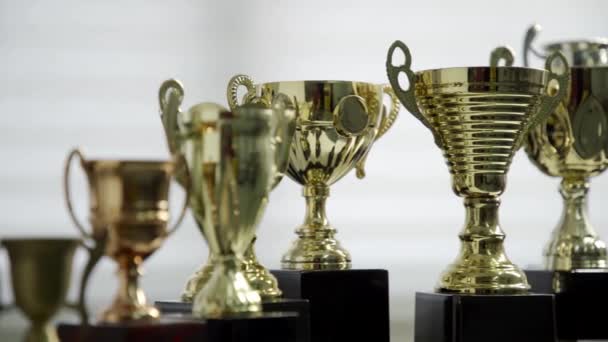 Classic Golden Trophy Cups — Stock Video