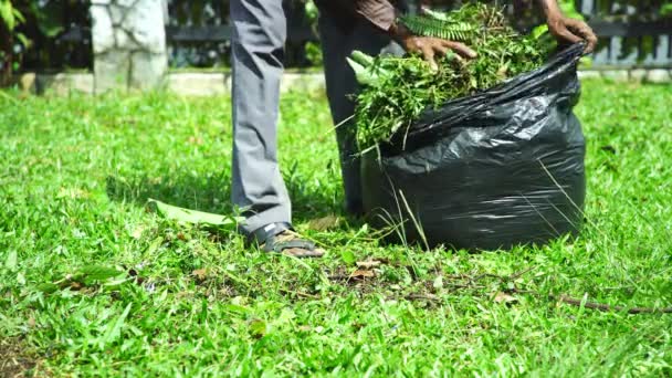 Trabajador Con Césped Mover — Vídeo de stock