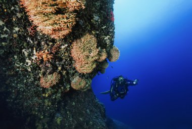 İspanya, Akdeniz, Ibiza Adası, UW fotoğraf; 13 Haziran 2006, scuba diver (Film tarama) - Editörden