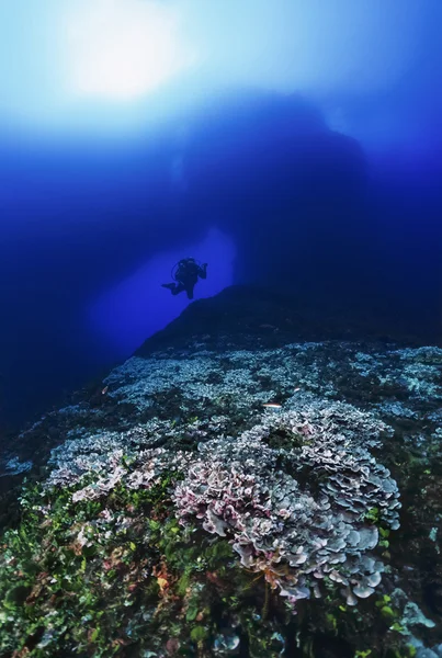 Hiszpania, Morze Śródziemne, Wyspa Ibiza, Zdjęcie U.W., scuba diver - Film skanowania — Zdjęcie stockowe