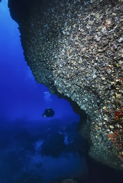 ESPAGNE, mer Méditerranée, île d'Ibiza, U.W. photo, plongée dans la grotte, plongeur - FILM SCAN — Photo