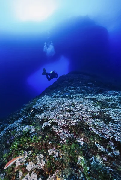 Spanje, Middellandse Zee, Ibiza eiland, U.W. foto, scuba diver - Film scannen — Stockfoto