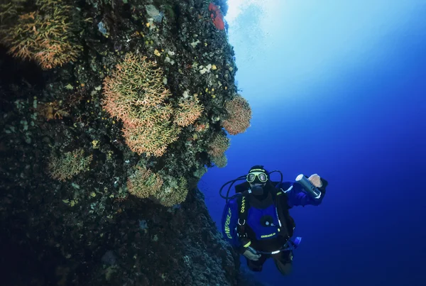 Spanien, Medelhavet, ön Ibiza, U.W. Foto; 13 juni 2006, scuba diver (Film Skanna) - ledare — Stockfoto