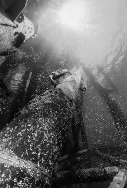 İtalya, Sicilya kanal, offshore petrol platformu vega, uw resim (film tarama)