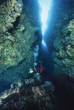 İtalya, Akdeniz, mağara dalış, Tremiti Adaları, dalgıç bir mağarada - Film tarama