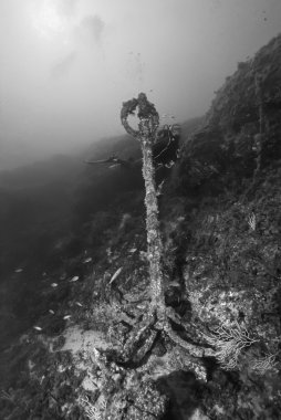 İtalya, Akdeniz, UW fotoğraf, dalgıç ve eski bir orkinos balıkçılık ağları çapa - Film tarama