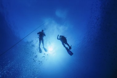 Akdeniz, U.W, fotoğraf, tüplü dalgıçlar yakın yüzey - Film tarama
