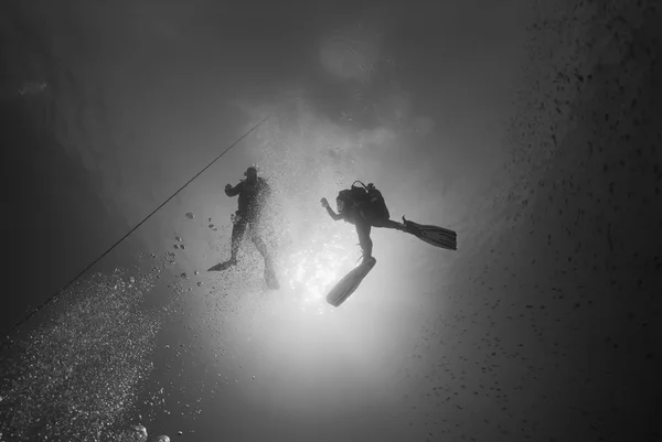 Mar Mediterrâneo, U.W, foto, mergulhadores perto da superfície - FILM SCAN — Fotografia de Stock