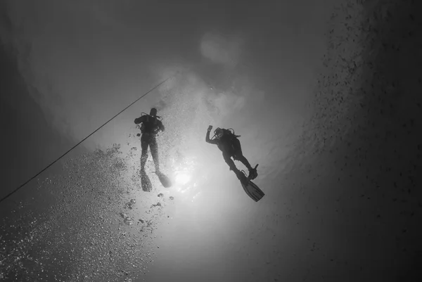 Mar Mediterrâneo, U.W, foto, mergulhadores perto da superfície - FILM SCAN — Fotografia de Stock