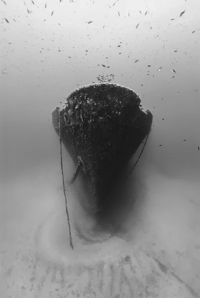 Mar Mediterraneo, U.W. fotografia, immersioni di relitto, Tunisia, Le isole Galite, naufragio di nave russo affondato - FILM SCAN — Foto Stock