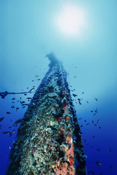 Middellandse Zee, U.W. foto, wrakduiken, Tunesië, La Galite eilanden, gezonken Russische schip wrak - Film scannen — Stockfoto