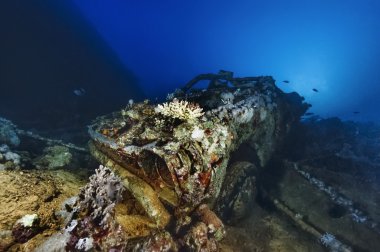 Sudan, Kızıldeniz, Sha'ab Swadi, U.W. fotoğraf, Toyotas batık, batık gemide olan birçok araba biri - Film Scan