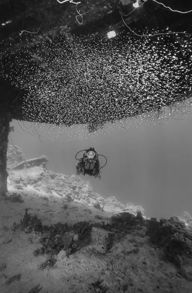 Sudan, Morze Czerwone, Sha'ab Rumi U.W. zdjęcie; 16 listopada 2001 r., Cousteau Precontinent 2 struktury, używany w 1960 do badania zachowania rekiny (Film Scan) - Redakcja — Zdjęcie stockowe