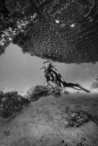 SUDAN, Red Sea, Sha'ab Rumi, U.W. photo; 16 November 2001, Cousteau Precontinent 2 structure, used in 1960 to study sharks behavior (FILM SCAN) - EDITORIAL — Stock Photo, Image