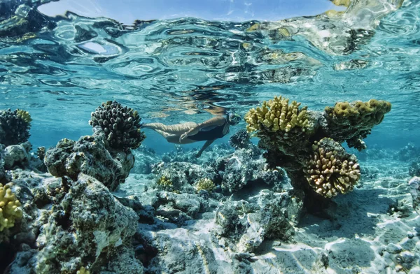Судан, Червоне море, Sanghaneb риф, фото у. т., Reef, підводне плавання - фільм сканування — стокове фото