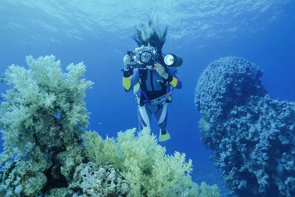 EGYPT, Sharm El Sheikh, Red Sea, U.W. photo; 3 March 2004, female scuba diver taking pictures - EDITORIAL (FILM SCAN) — Stock Photo, Image