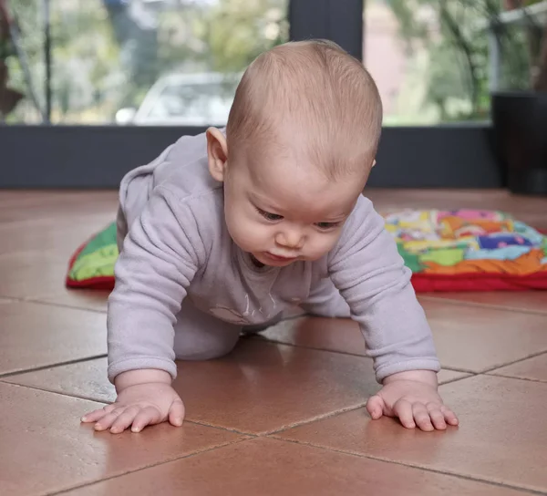 Crawling newborn male child portrait