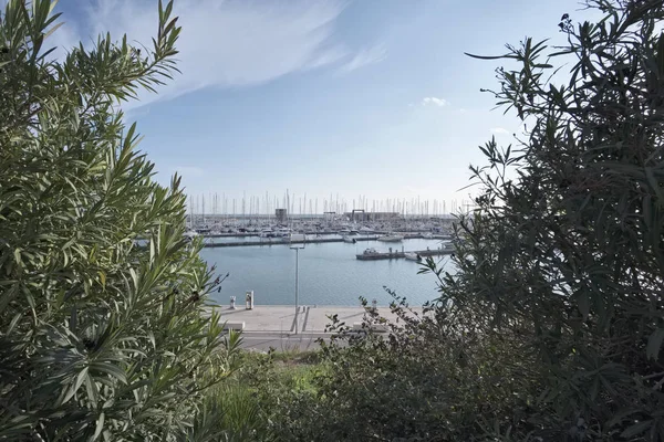 Itálie, Sicílie, Středozemní moře, Marina di Ragusa; lodě a luxusní jachty v přístavu — Stock fotografie