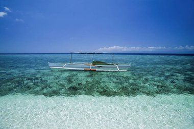 Filipinler, Balicasag Adası (Bohol); Yerel ahşap balıkçı teknesi - Film tarama