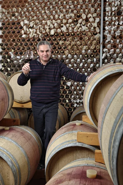 Italia, Sicilia; 19 de diciembre de 2012, retrato de un productor de vino siciliano en su bodega - EDITORIAL — Foto de Stock