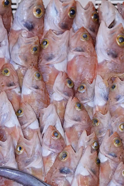 Italy, Sicily, fresh Mediterranean red mullets (Mullus surmuletus) for sale in a local market — Stock Photo, Image