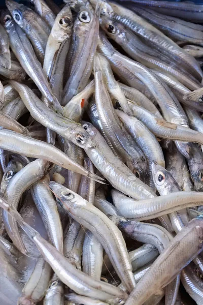 Italy, Sicily, fresh anchovies (Engraulis encrasicolus) for sale in a local fishermen market — Stock Photo, Image