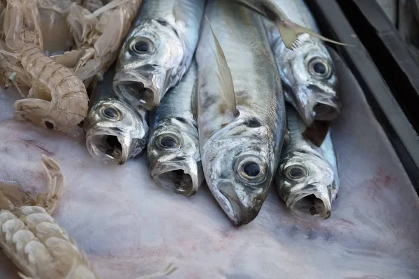 Italy, Sicily, fresh anchovies (Engraulis encrasicolus) and squills for sale in a local fishermen market — Stock Photo, Image