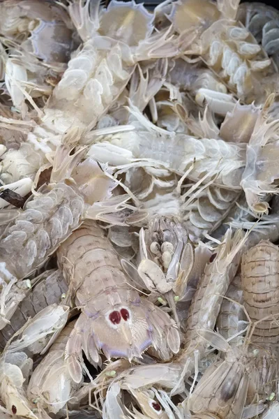 Italia, Sicilia, calamares mediterráneos frescos a la venta en un mercado de pescadores locales —  Fotos de Stock