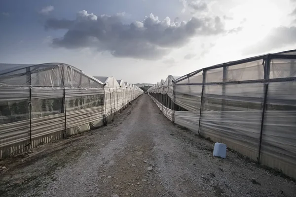 Italia, Sicilia, campo (provincia de Ragusa), invernaderos para el cultivo de tomates — Foto de Stock
