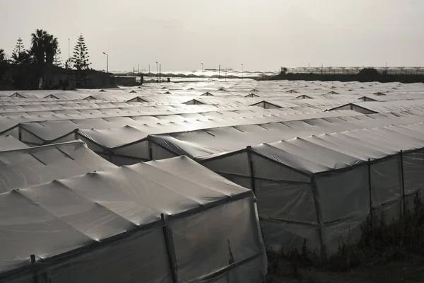 Italia, Sicilia, campo (provincia de Ragusa), invernaderos para el cultivo de tomates — Foto de Stock