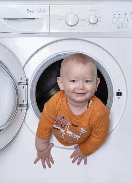 Italien, porträtt av en spädbarn hane i tvättmaskin — Stockfoto