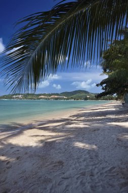 Tayland, Koh Samui (Samui Adası), plaja görünümünü ve adanın berrak suları