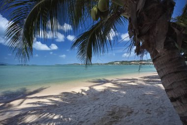 Tayland, Koh Samui (Samui Adası), plaja görünümünü ve adanın berrak suları