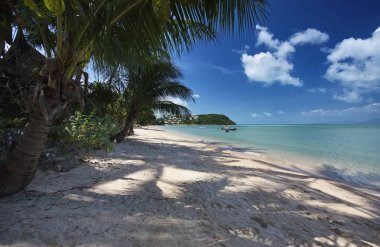 Tayland, Koh Samui (Samui Adası), plaja görünümünü ve adanın berrak suları