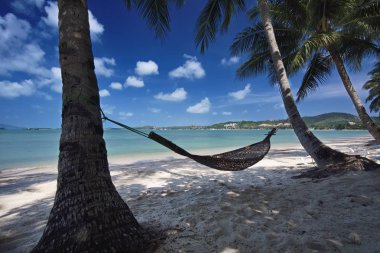Tayland, Koh Samui (Samui Adası), plaja görünümünü ve adanın berrak suları