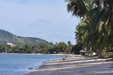 Tayland, Koh Samui (Samui Adası), plaja görünümünü