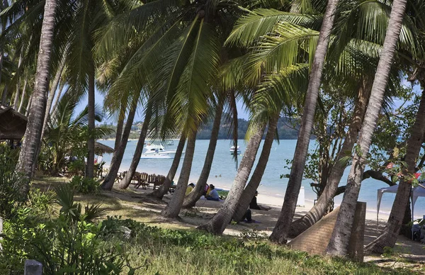 Tajlandia Koh Samui Samui Island Ludzie Palm Kokosowych Plaży — Zdjęcie stockowe