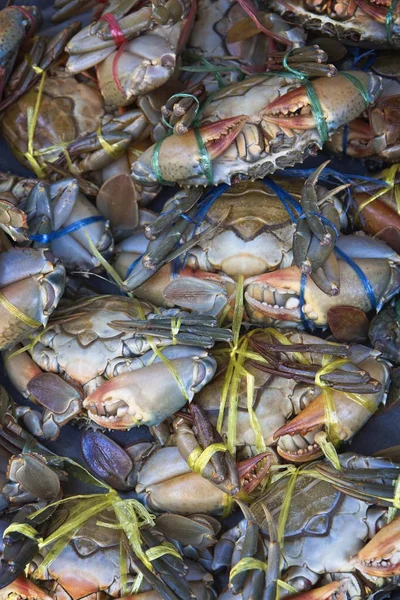 Thailand Koh Samui Samui Island Tropical Crabs Sale Local Fish — Stock Photo, Image