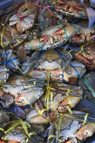 Tailândia Koh Samui Samui Island Caranguejos Tropicais Para Venda Mercado — Fotografia de Stock